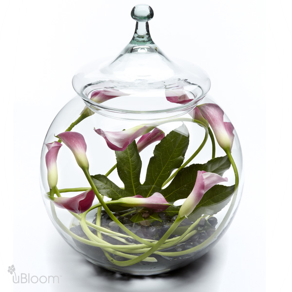 Calla Lily Globe Flowers Say